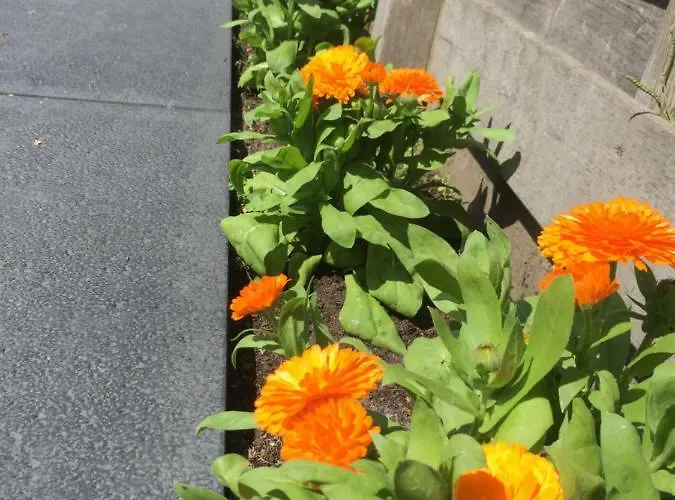 Casa de Férias Het Hart *