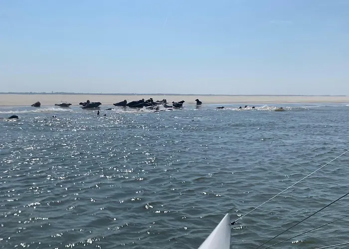 Het Hart Casa de Férias